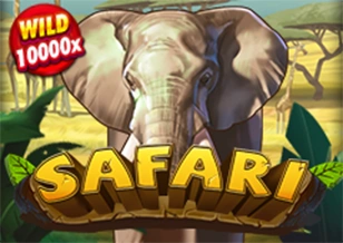 AFB : Safari - TITANBET138